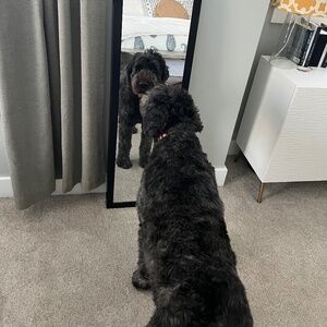 Meet your Posher, Nancy